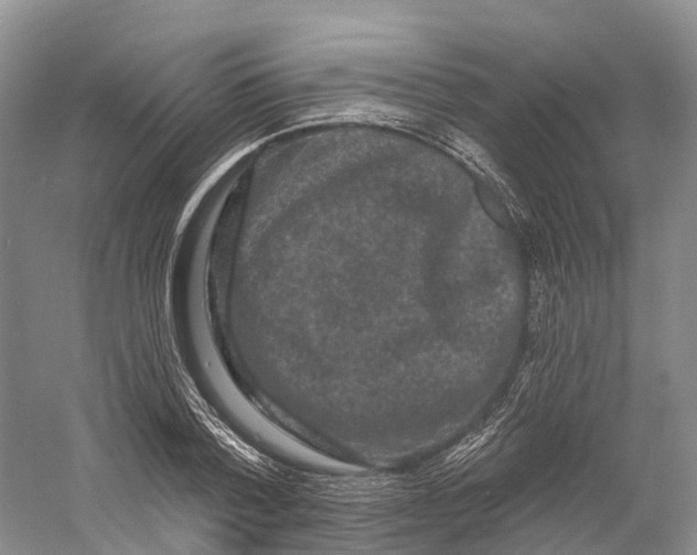 X0000060790788200512011704