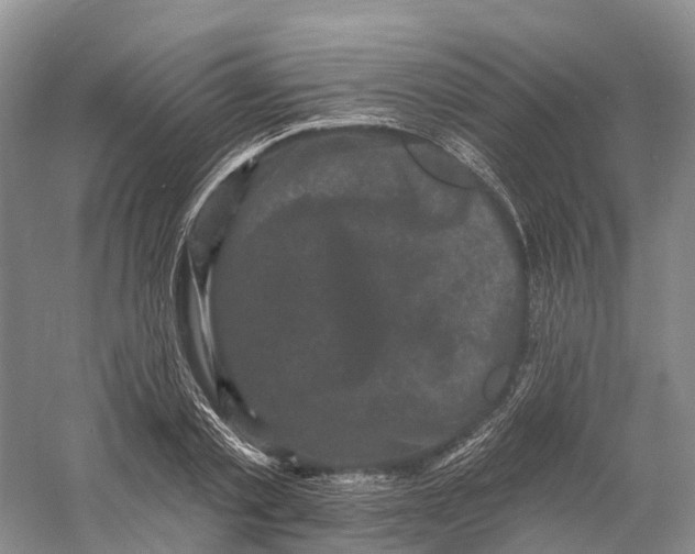 X0000060790789200512011704