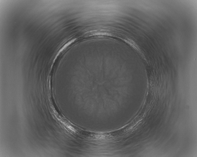 X0000060790790200512011704