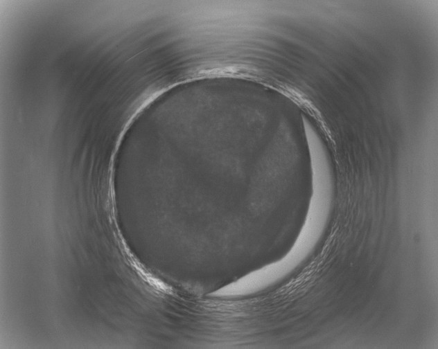 X0000060790792200512011704