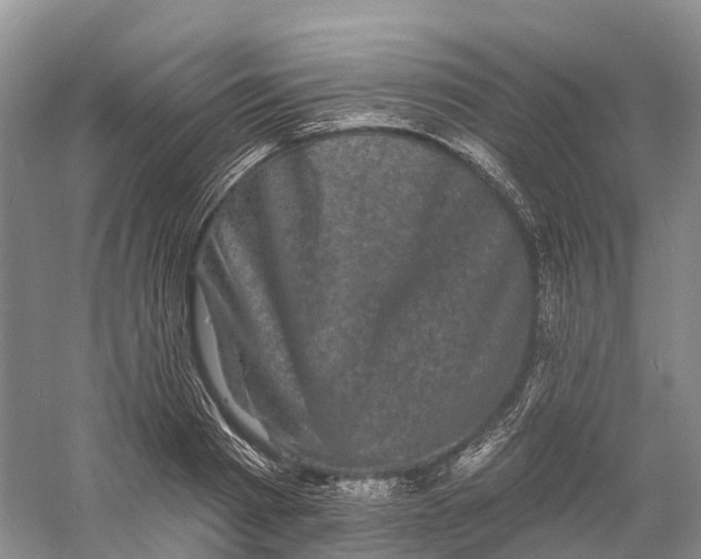 X0000060790793200512011704