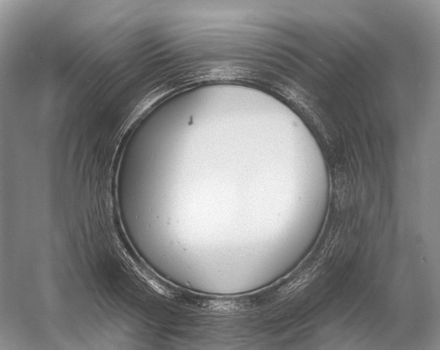 X0000060790794200512011704