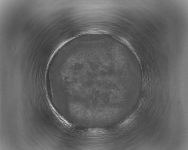 X0000060790795200512011704