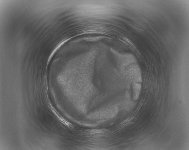 X0000060790796200512011704