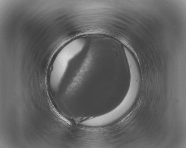 X0000060790797200512011704