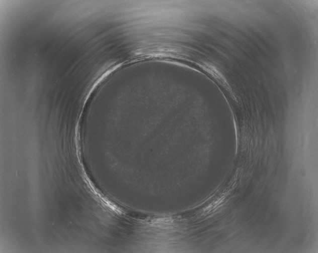 X0000060790798200512011704