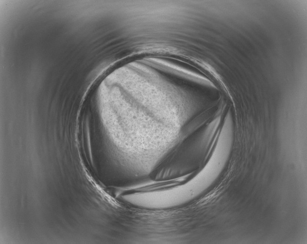 X0000060790799200512011704