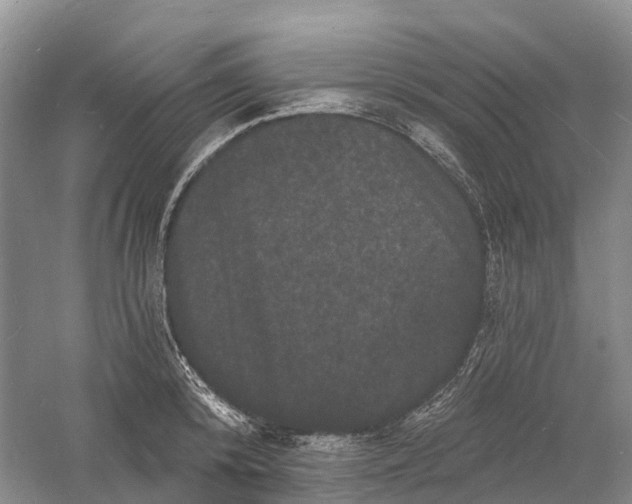 X0000060790800200512011704