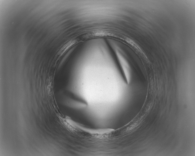 X0000060790801200512011704