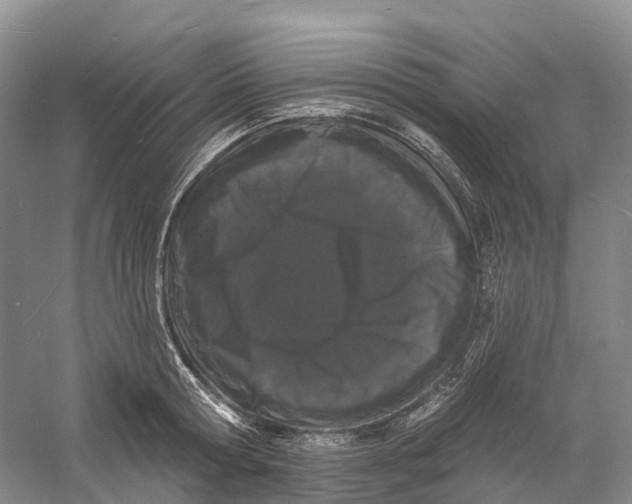 X0000060790802200512011704