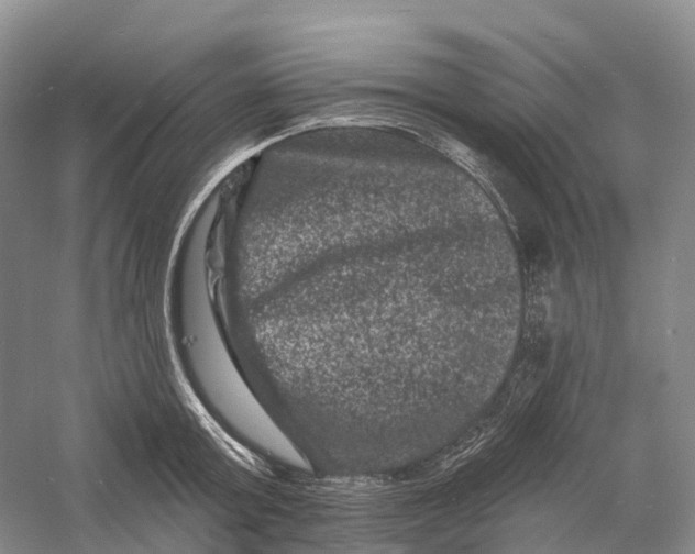 X0000060790803200512011704