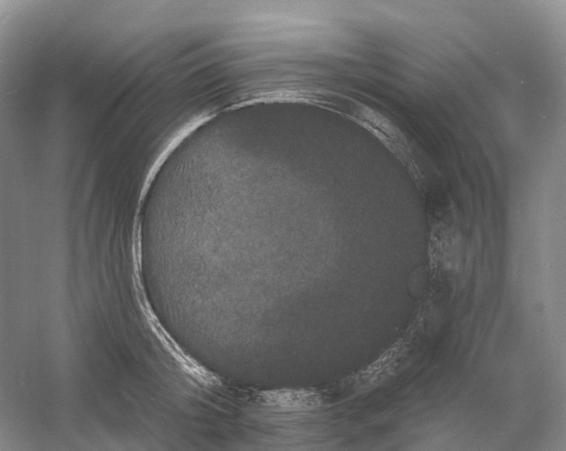 X0000060790804200512011704