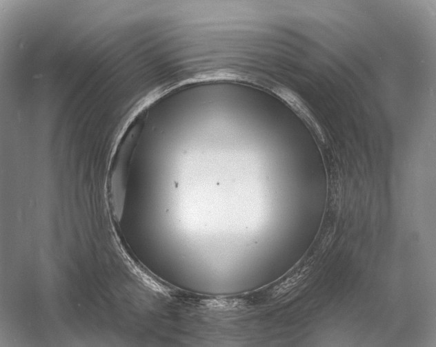 X0000060790805200512011704