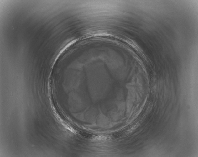 X0000060790806200512011704