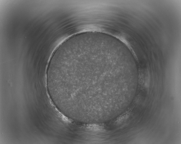 X0000060790807200512011704