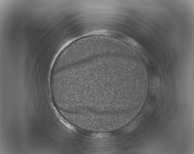 X0000060790808200512011704