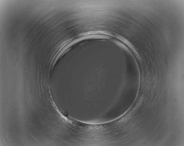 X0000060790809200512011704