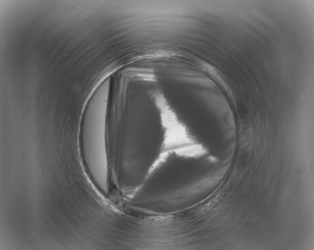 X0000060790810200512011704