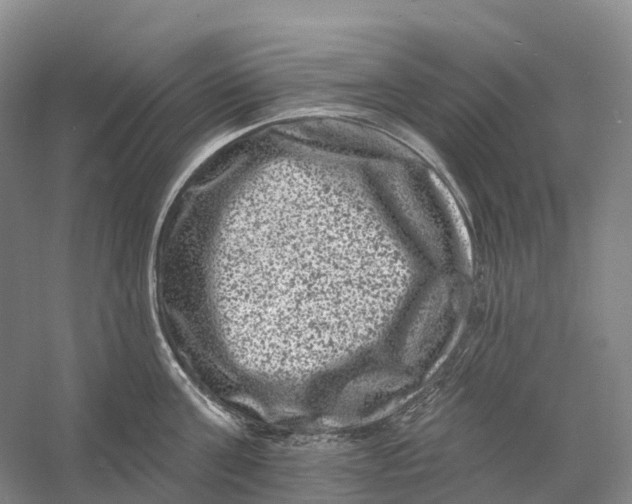 X0000060790811200512011704