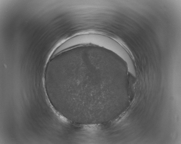 X0000060790813200512011704