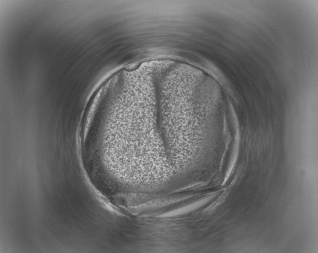 X0000060790814200512011704