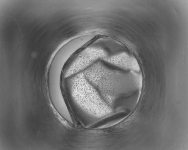 X0000060790816200512011704