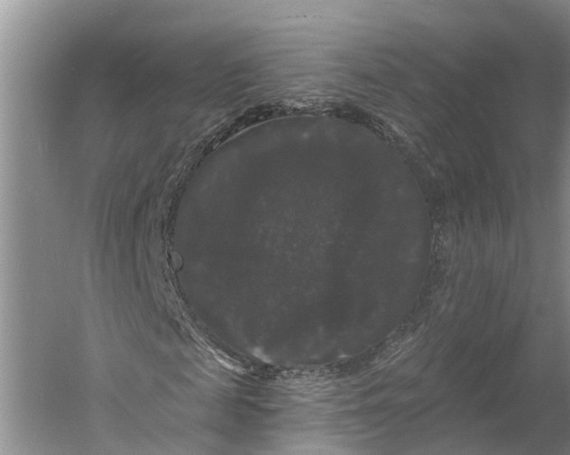 X0000060790817200512011703