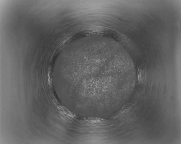 X0000060790819200512011703