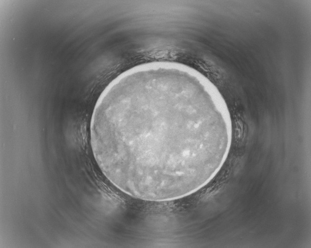 X0000060790820200512011703