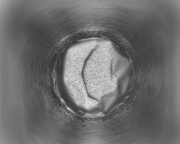 X0000060790821200512011703