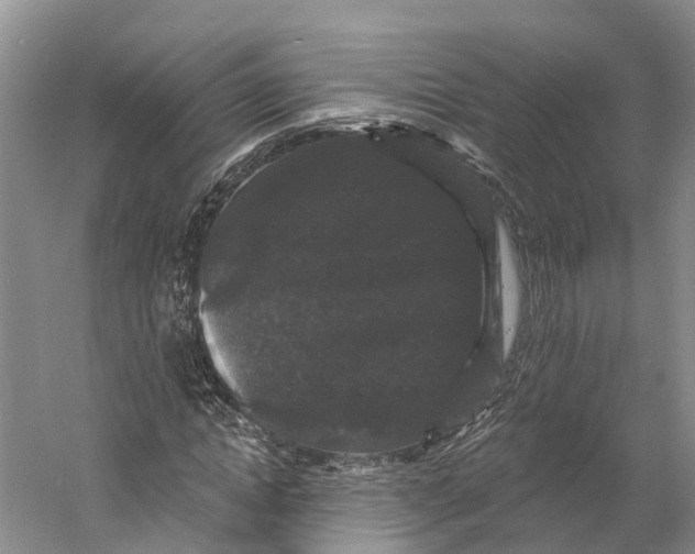 X0000060790822200512011703