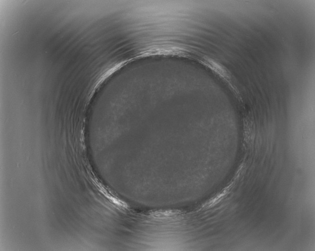 X0000060790826200512011703