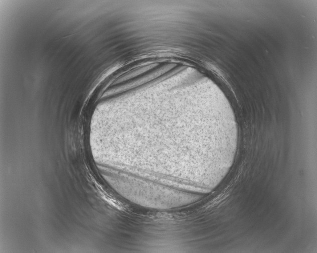 X0000060790827200512011703