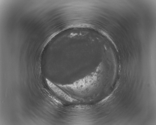 X0000060790829200512011703