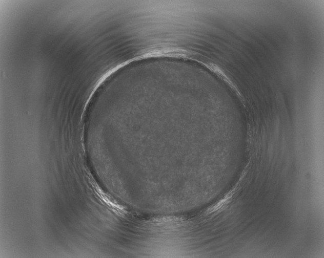 X0000060790830200512011703