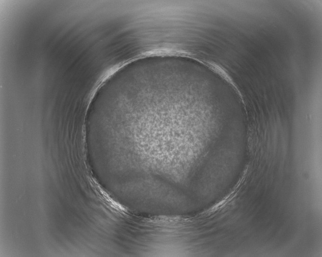 X0000060790831200512011703