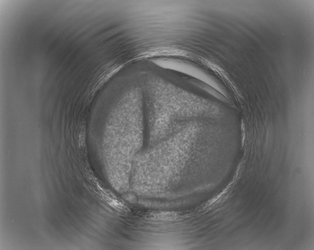 X0000060790833200512011703