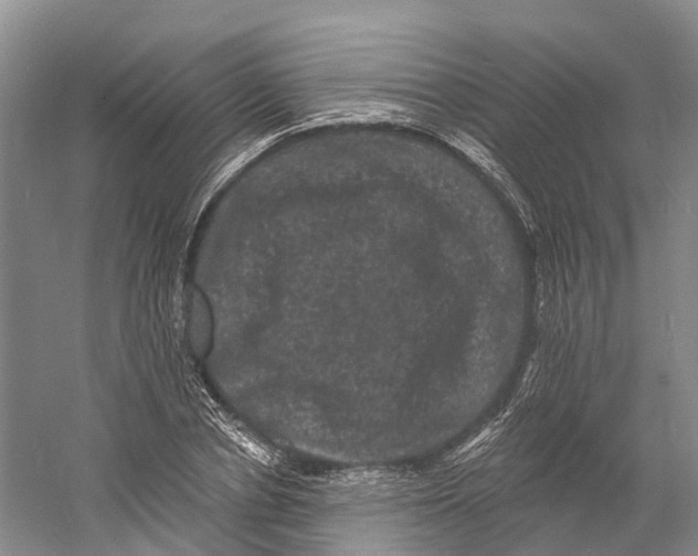 X0000060790834200512011703