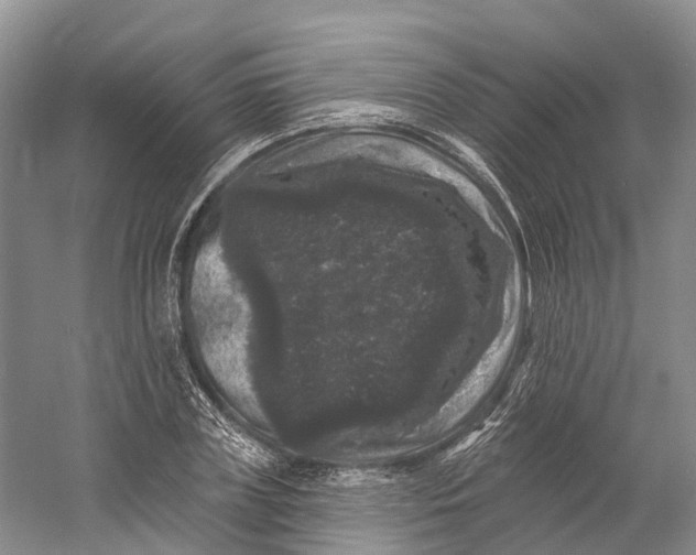 X0000060790835200512011703