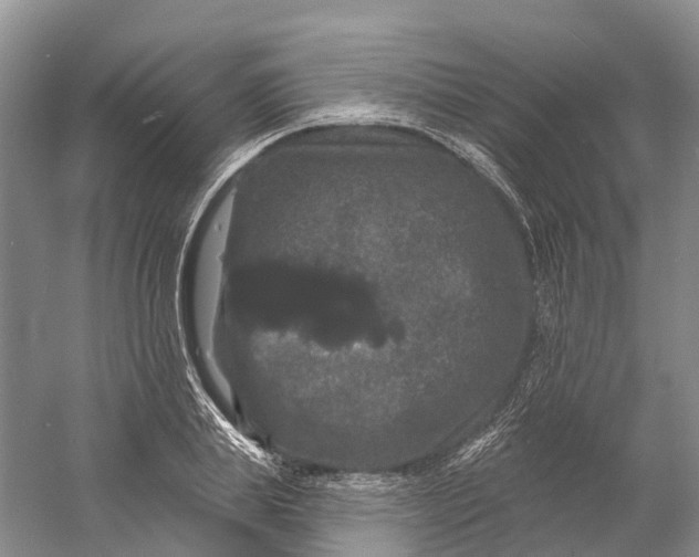 X0000060790839200512011703