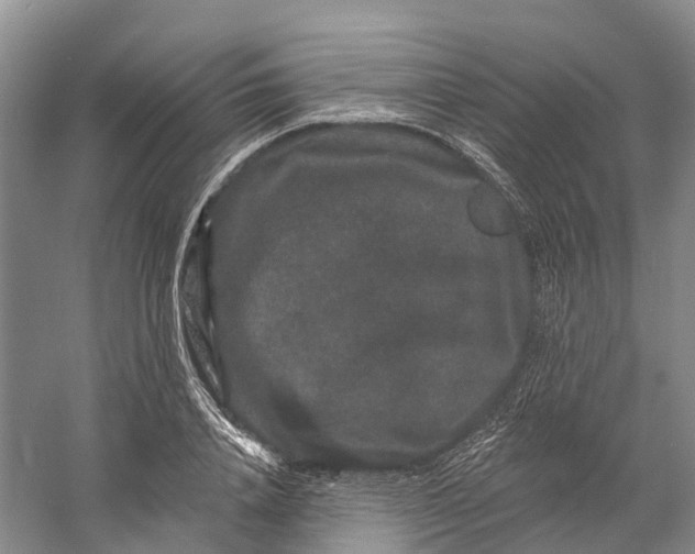 X0000060790840200512011704