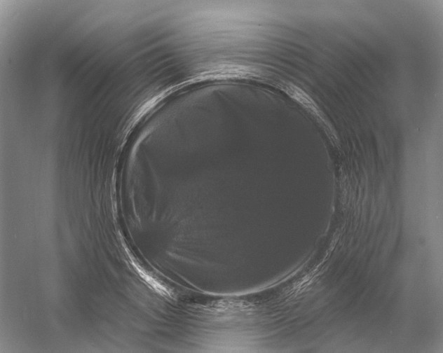 X0000060790842200512011704