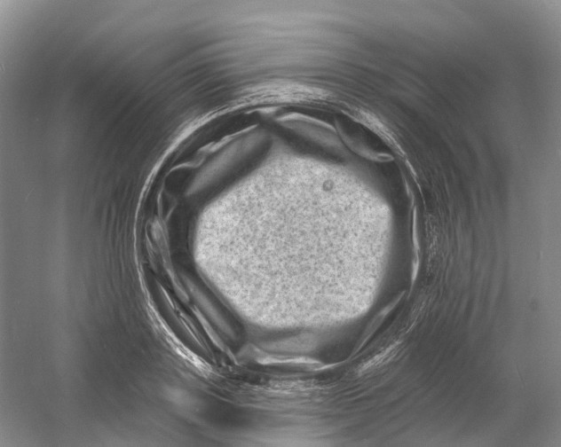 X0000060790843200512011704