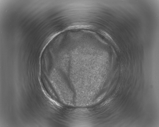 X0000060790844200512011704