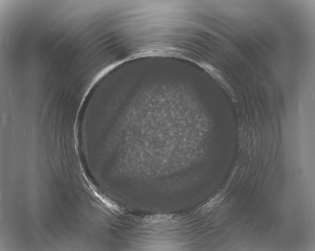 X0000060790846200512011704