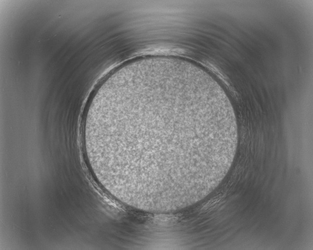 X0000060790848200512011704