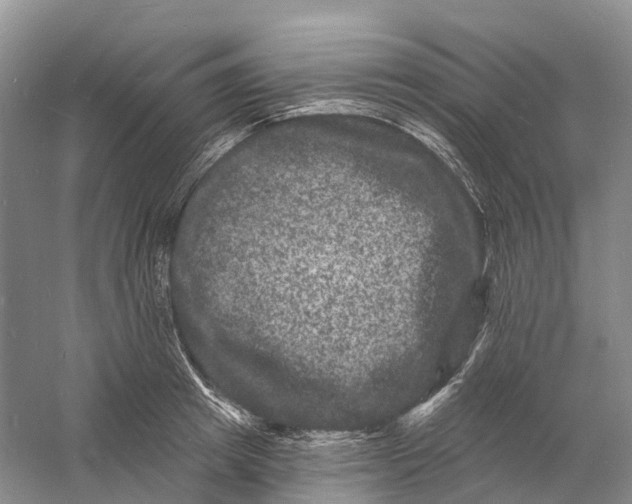 X0000060790849200512011704