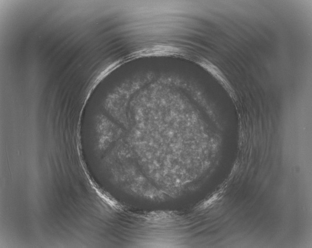 X0000060790850200512011704