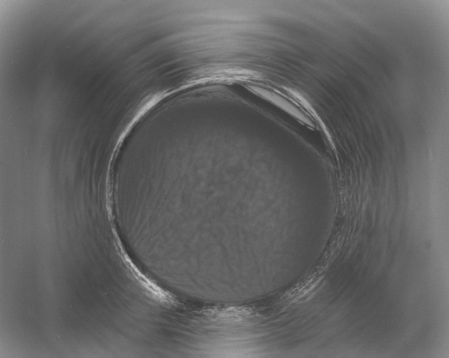 X0000060790851200512011704