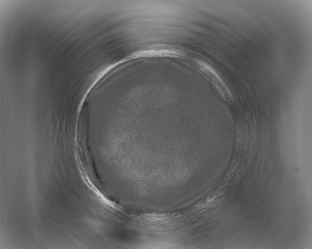 X0000060790852200512011704